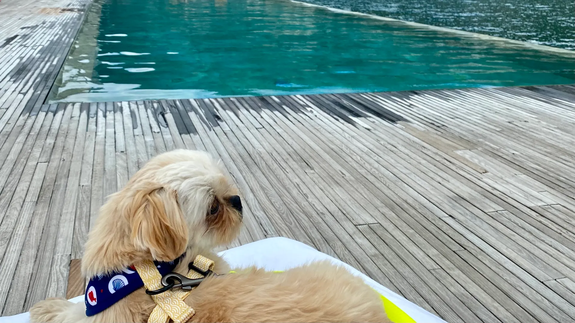 Poolside at Il Sereno, Lago di Como