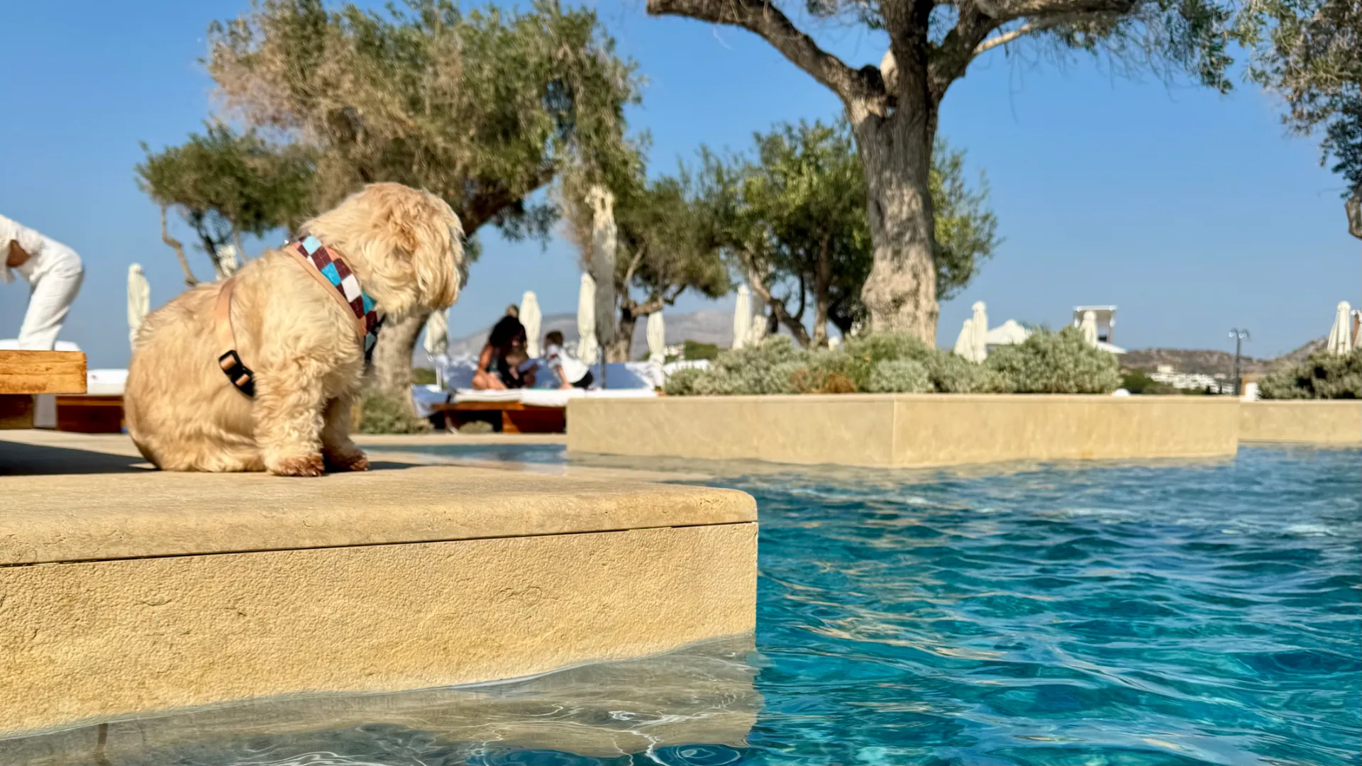 Poolside at the Four Seasons Astir Palace Hotel Athens